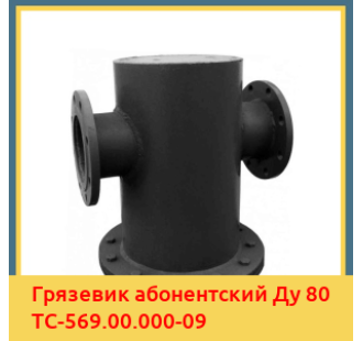 Грязевик абонентский Ду 80 ТС-569.00.000-09 в Атырау