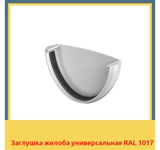 Заглушка желоба универсальная RAL 1017 в Атырау